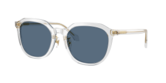 Versace VE4493D 551971