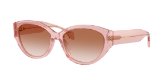 Versace VE4495D 543413