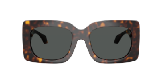 Versace VE4496U 108/87