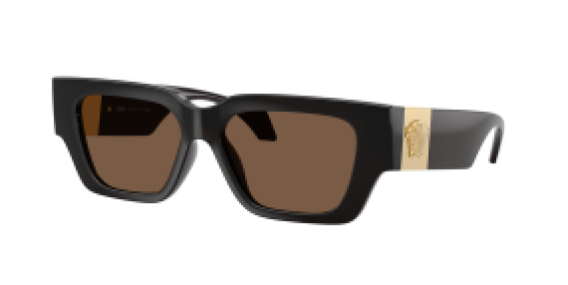 Versace VE4497U 554373