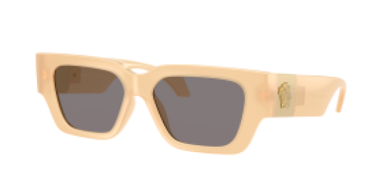 Versace VE4497U 554473