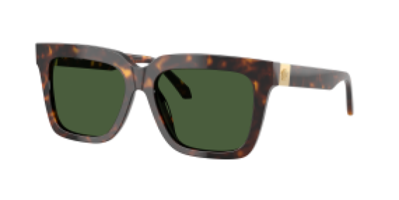 Versace VE4498 108/71