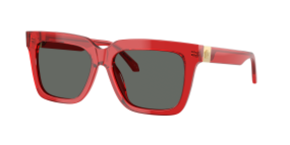 Versace VE4498 528087