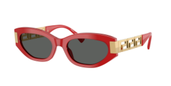 Versace VE4501 554287