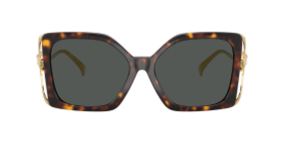 Versace VE4502U 108/87