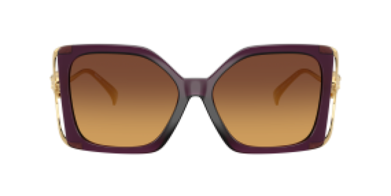 Versace VE4502U 5536T5