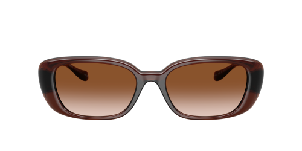 Versace VE4504D 533213