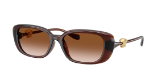 Versace VE4504D 533213