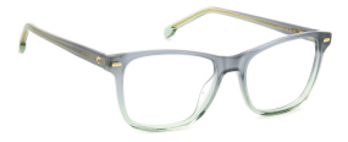 Carrera CA3009 3U5