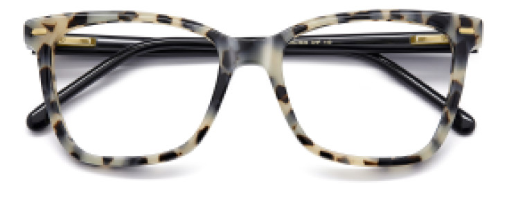 Carrera CA3049 AHF