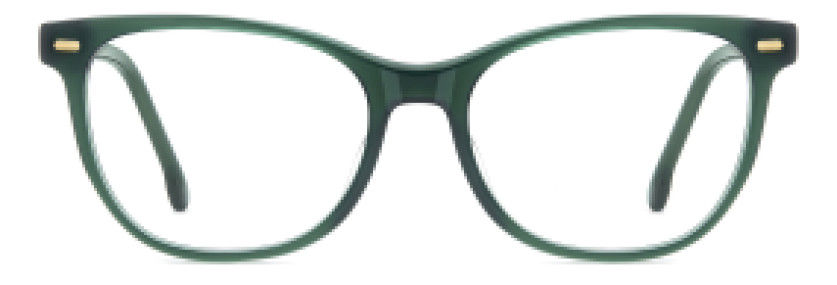 Carrera CA3074 ZI9