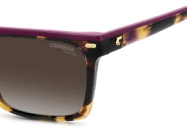 Carrera CA3056/S MFX LA