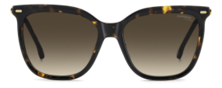 Carrera CA3071/S 2IK HA