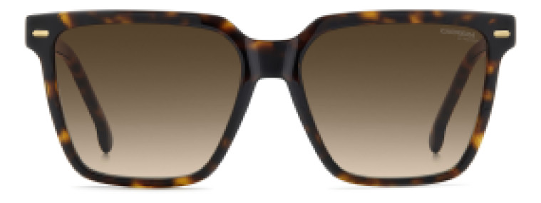 Carrera CA3069/S 086 HA