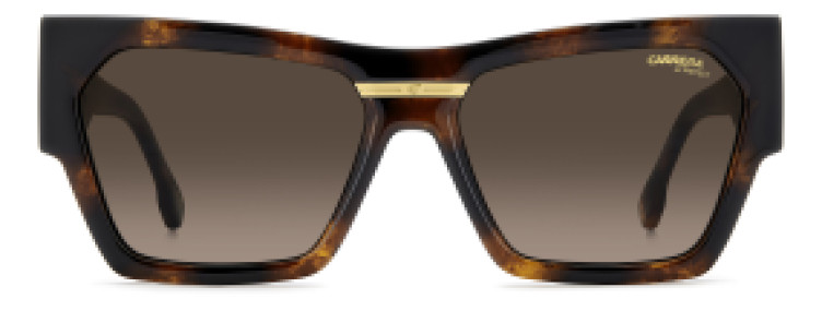 Carrera CAVICTORY C 19/S 086 HA