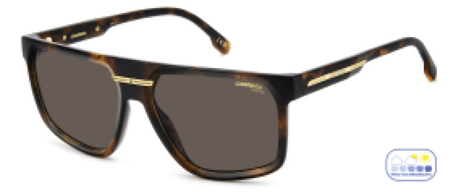 Carrera CAVICTORY C 14/S 086 4A