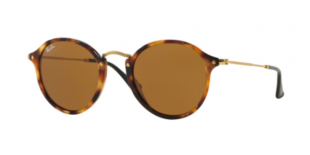 Ray-Ban Round/Classic RB2447 1160