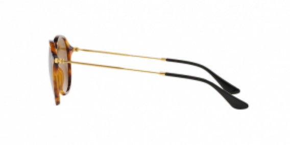 Ray-Ban Round/Classic RB2447 1160