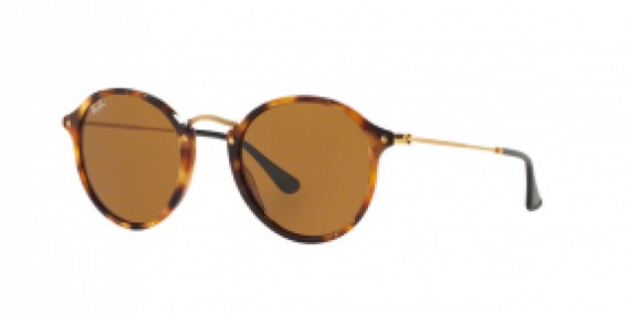 Ray-Ban Round/Classic RB2447 1160