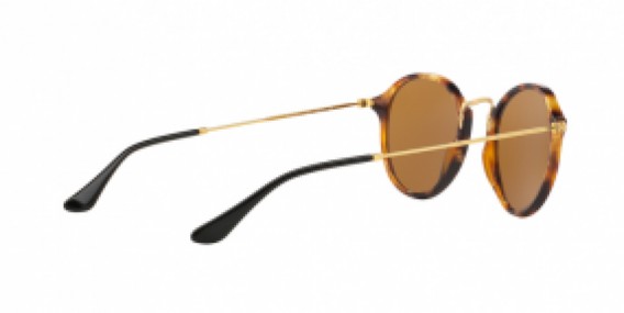 Ray-Ban Round/Classic RB2447 1160