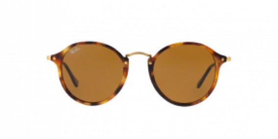 Ray-Ban Round/Classic RB2447 1160