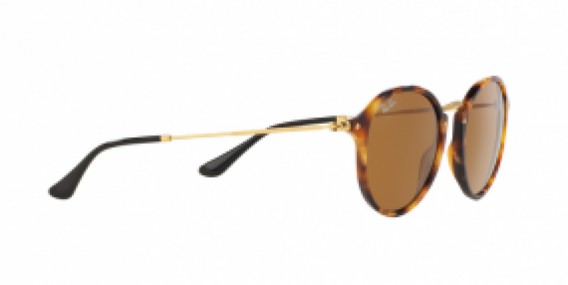Ray-Ban Round/Classic RB2447 1160