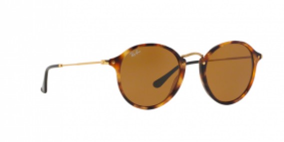 Ray-Ban Round/Classic RB2447 1160