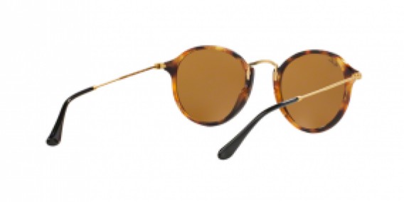 Ray-Ban Round/Classic RB2447 1160