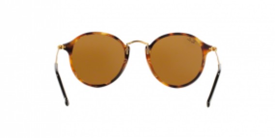 Ray-Ban Round/Classic RB2447 1160