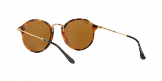 Ray-Ban Round/Classic RB2447 1160