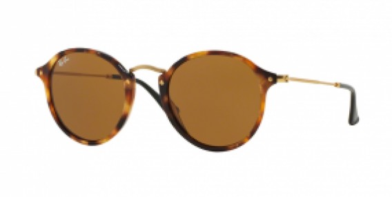 Ray-Ban Round/Classic RB2447 1160