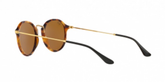 Ray-Ban Round/Classic RB2447 1160
