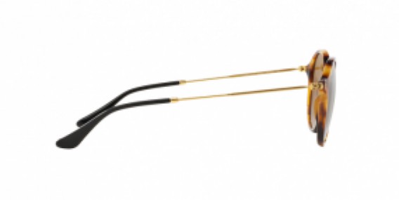 Ray-Ban Round/Classic RB2447 1160