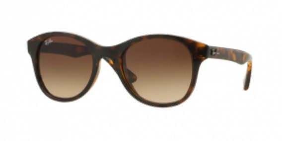 Ray-Ban RB4203 710/13