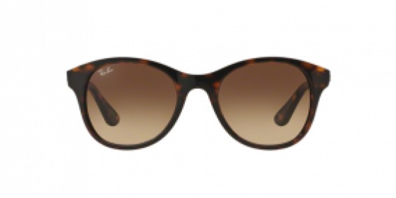 Ray-Ban RB4203 710/13