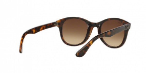 Ray-Ban RB4203 710/13