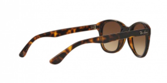 Ray-Ban RB4203 710/13