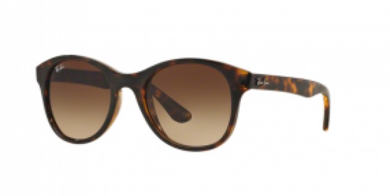 Ray-Ban RB4203 710/13