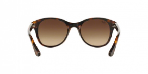 Ray-Ban RB4203 710/13