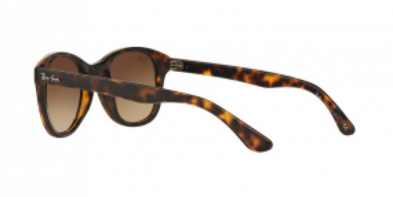 Ray-Ban RB4203 710/13