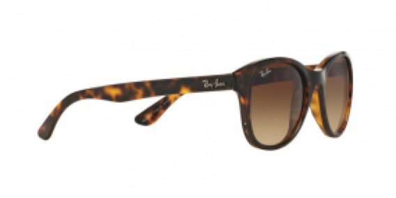 Ray-Ban RB4203 710/13