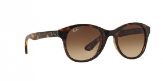 Ray-Ban RB4203 710/13