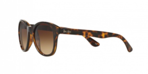 Ray-Ban RB4203 710/13