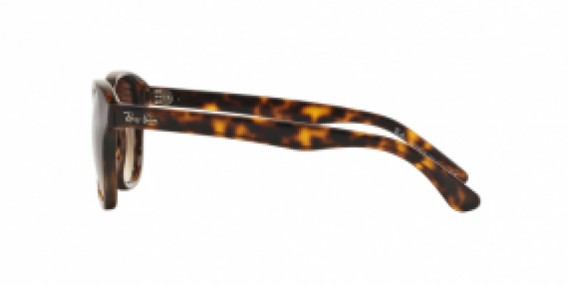 Ray-Ban RB4203 710/13